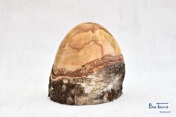 VASE EN BOULEAU ÉCHAUFFÉ