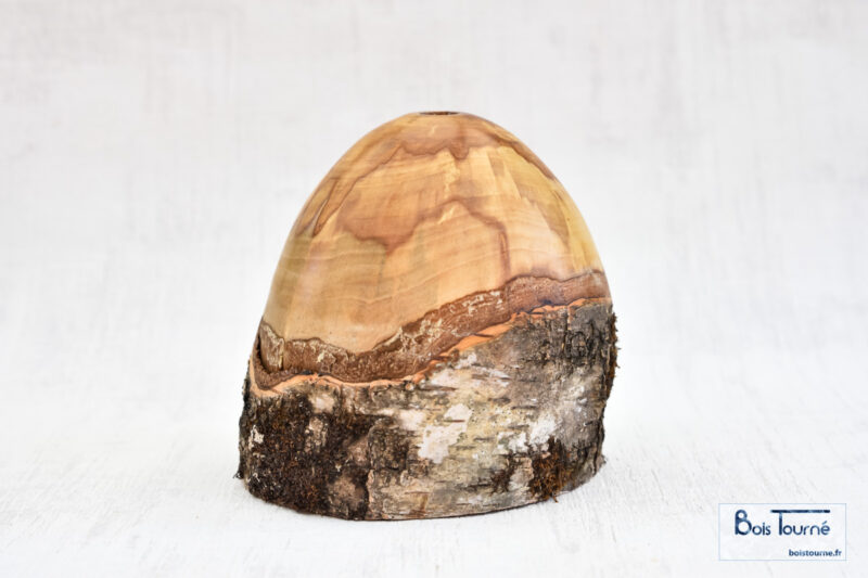 VASE EN BOULEAU ÉCHAUFFÉ
