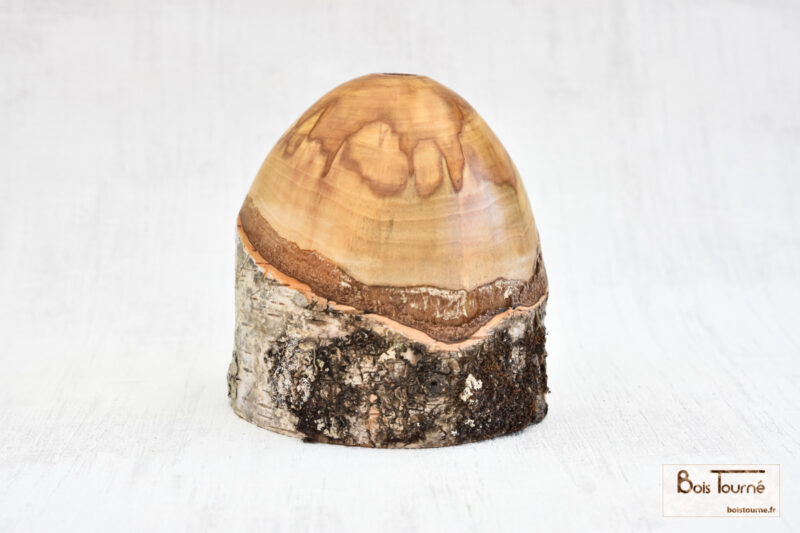 VASE EN BOULEAU ÉCHAUFFÉ – Image 2